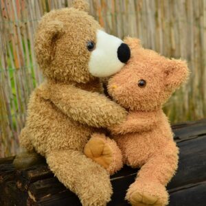 Two teddy bears cuddle